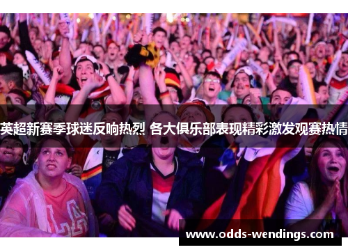 英超新赛季球迷反响热烈 各大俱乐部表现精彩激发观赛热情